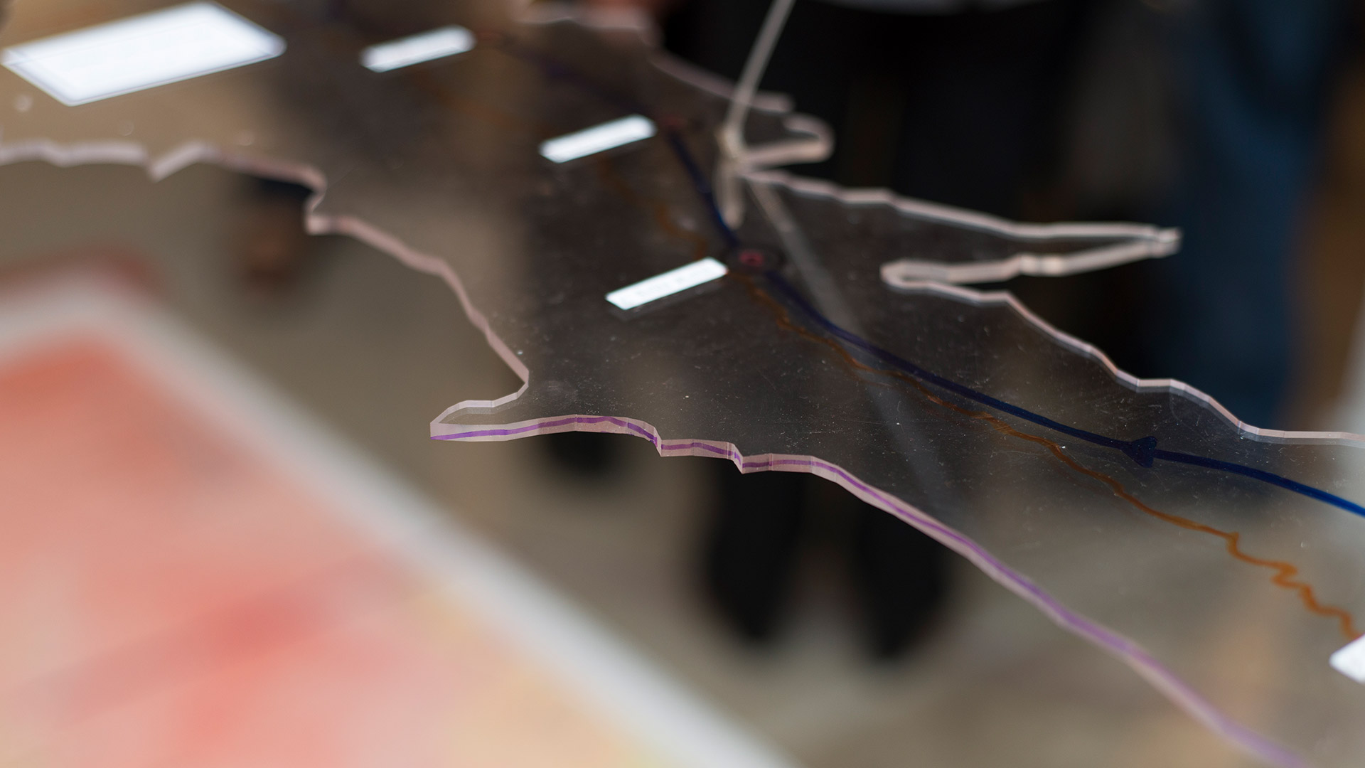 projects-curatorship-13.3