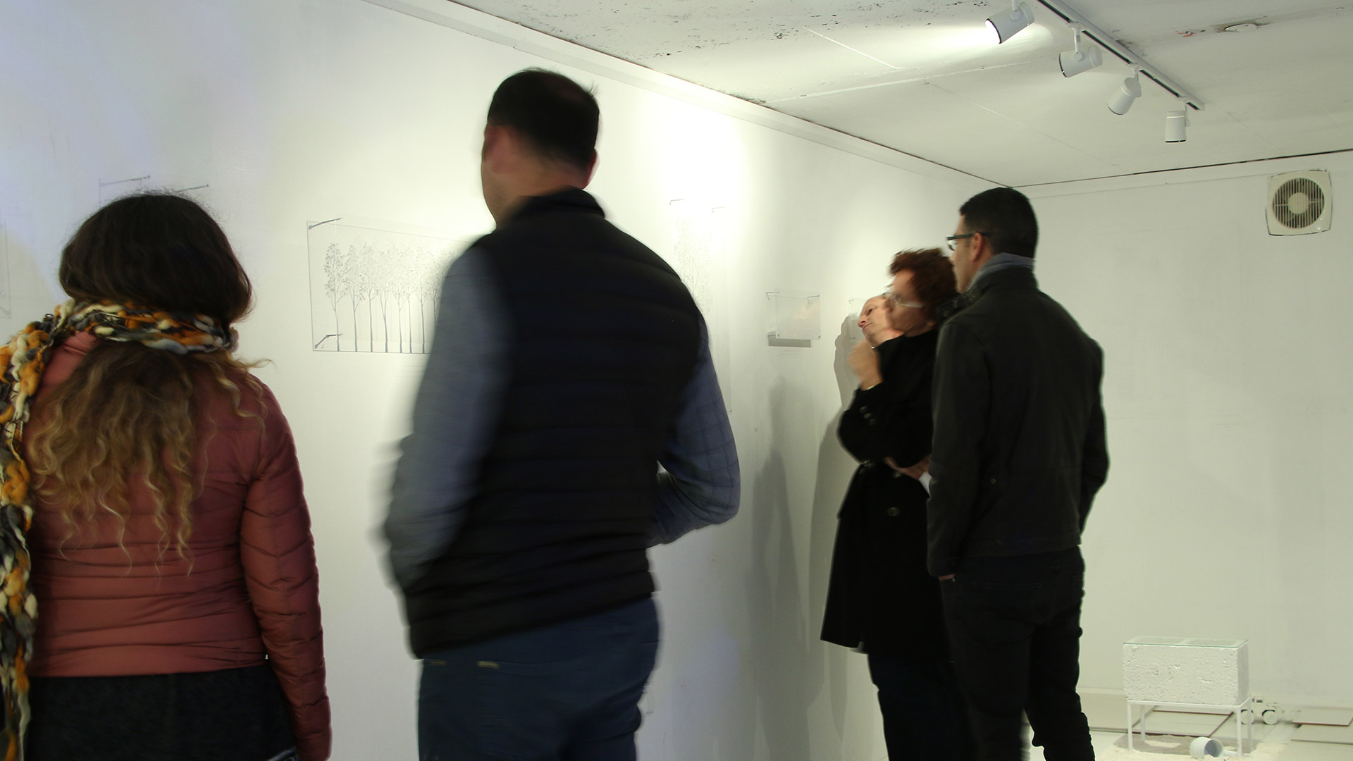 projects-curatorship-14.9