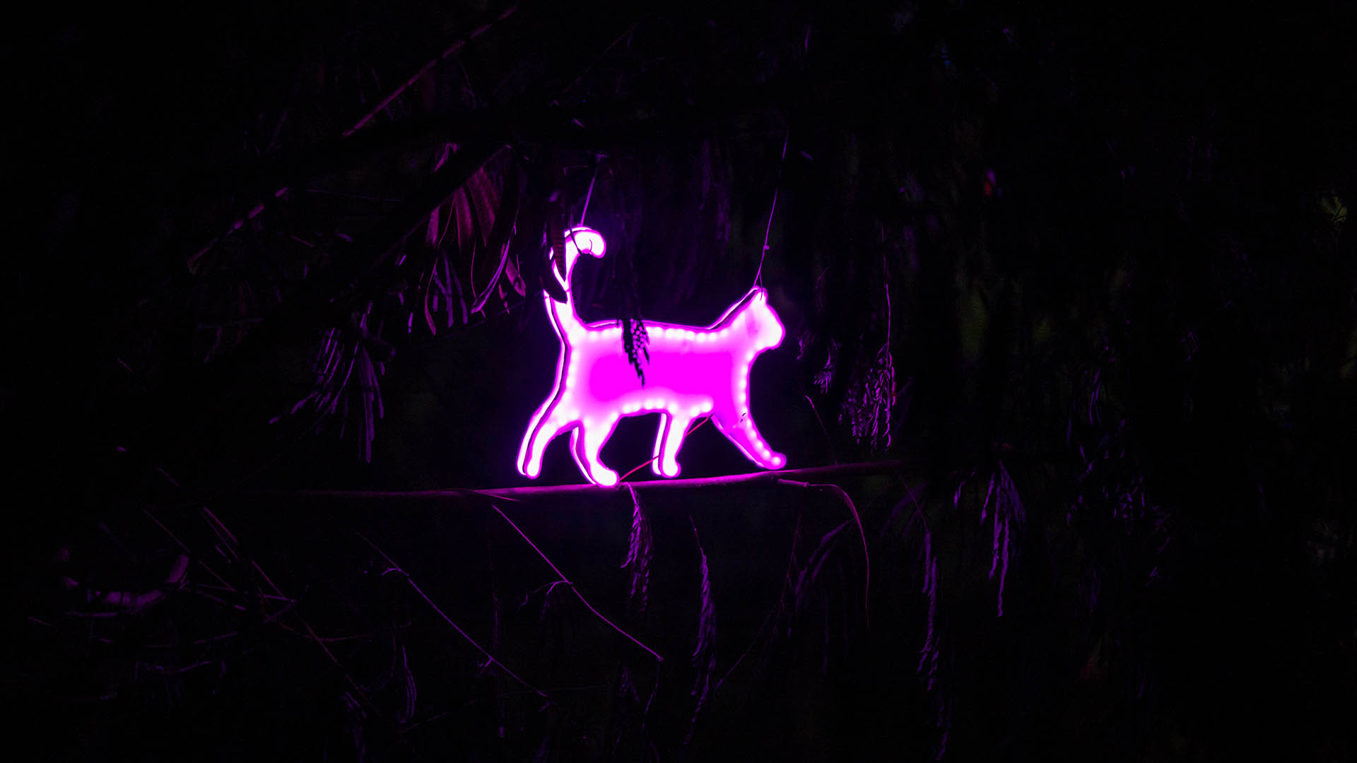 projects-installation-8.3